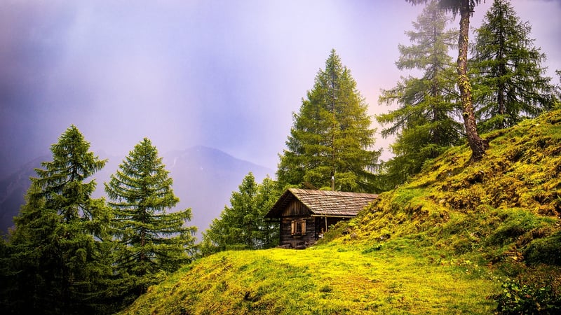 Treetop Cabin